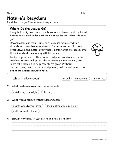 Preview of the printable “Decomposers reading passage for 5th grade” worksheet: explaining how decomposers return matter to the environment