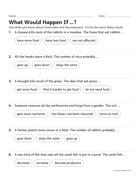 Preview of the printable “Ecosystem changes Worksheet: what would Happen?” worksheet: predicting how changes in one part of an ecosystem affect other parts