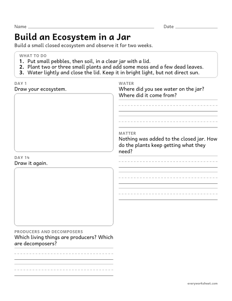 Preview of the printable “Ecosystem in a bottle observation worksheet” worksheet: observing how matter cycles in a model ecosystem