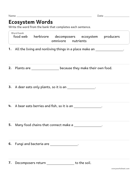 Preview of the printable “Ecosystems vocabulary fill in the blank” worksheet: using ecosystem vocabulary in context