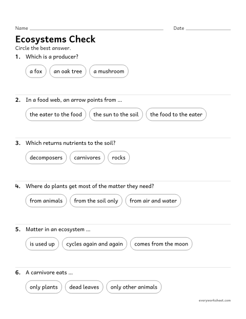 Preview of the printable “Ecosystems quiz for 5th grade” worksheet: reviewing roles in ecosystems and how matter moves