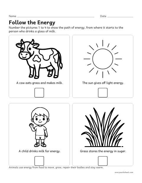 Preview of the printable “Energy in food comes from the sun worksheet” worksheet: modeling how the energy in animals' food was once energy from the sun