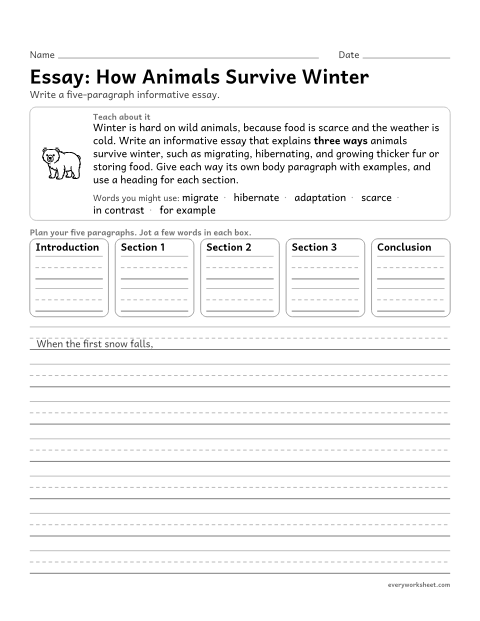 Preview of the printable “Essay: how animals survive winter” worksheet: planning and writing a multi-paragraph informative essay with grouped information and headings