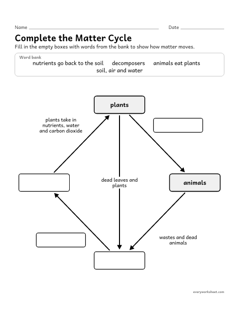 Preview of the printable “Matter cycle in an Ecosystem: label the diagram” worksheet: modeling the movement of matter among plants, animals, decomposers and the environment