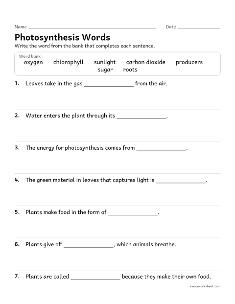 Preview of the printable “Photosynthesis fill in the blank worksheet” worksheet: using photosynthesis vocabulary in context