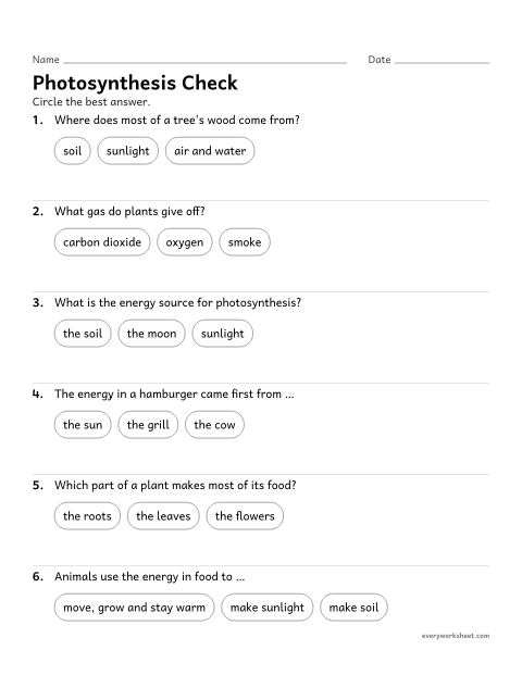 Preview of the printable “Photosynthesis quiz for 5th grade” worksheet: reviewing photosynthesis and where plants get their materials