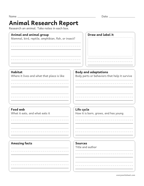 Preview of the printable “Animal research report” worksheet: researching an animal and organizing notes about its habitat, adaptations, food web, and life cycle