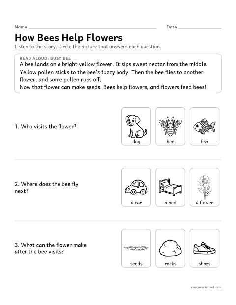 Preview of the printable “How bees help Flowers: read and answer” worksheet: listening to a passage about pollination and answering questions