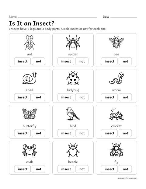 Preview of the printable “Insect or Not? circle the answer” worksheet: telling insects from other small animals