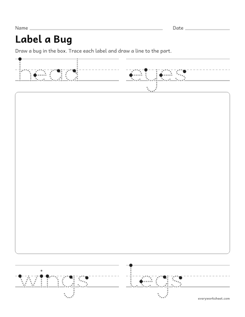 Preview of the printable “Label a Bug: draw and label” worksheet: drawing a bug and labeling its parts