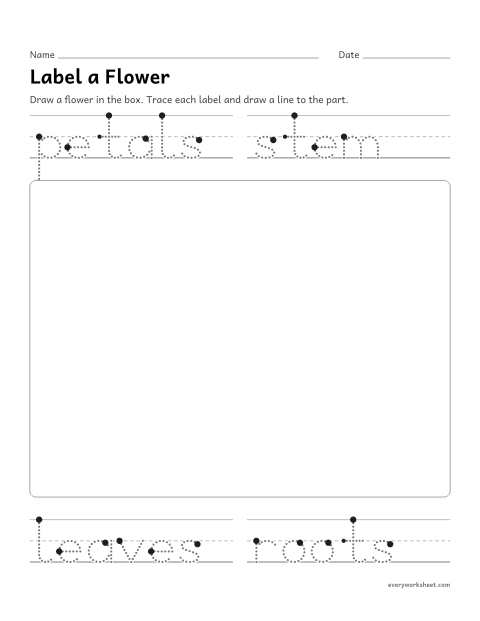Preview of the printable “Label a Flower: draw and label” worksheet: drawing a flower and labeling its parts