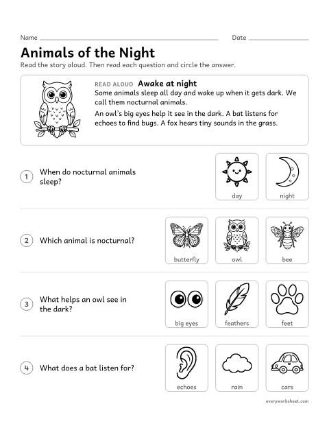 Preview of the printable “Nocturnal animals read aloud” worksheet: answering questions about nocturnal animals read aloud