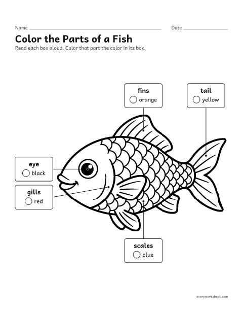 Preview of the printable “Color the parts of a fish” worksheet: finding the parts of a fish by coloring
