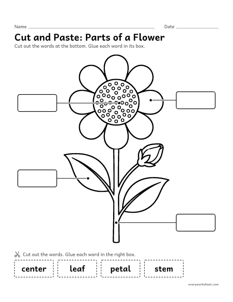 Preview of the printable “Parts of a flower cut and paste” worksheet: matching the words petal, center, stem and leaf to the parts