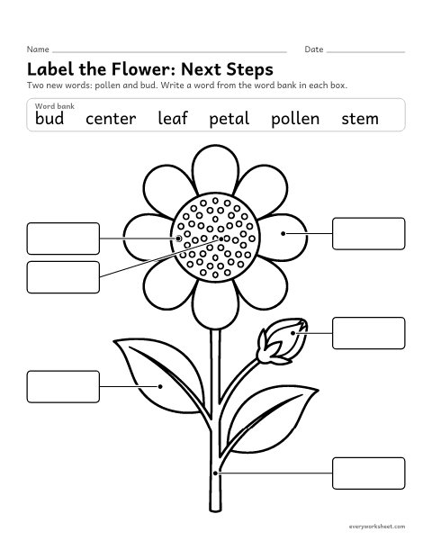 Preview of the printable “Parts of a Flower: next steps (Pollen and Bud)” worksheet: labeling the pollen and bud as well as the petal, center, stem and leaf
