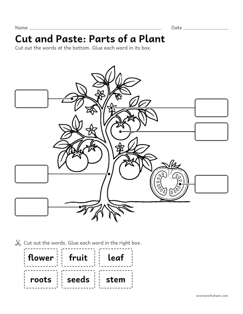 Preview of the printable “Parts of a plant cut and paste” worksheet: matching the words flower, fruit, seeds, leaf, stem and roots to the parts