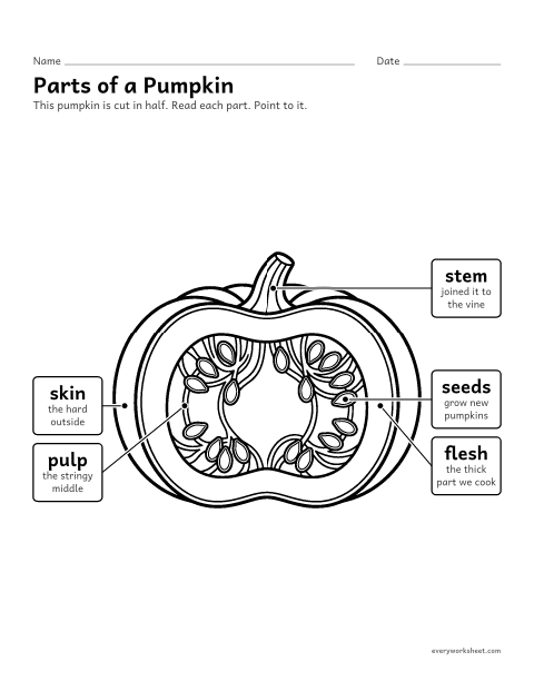 Preview of the printable “Parts of a pumpkin chart” worksheet: naming the parts of a pumpkin and what each part does
