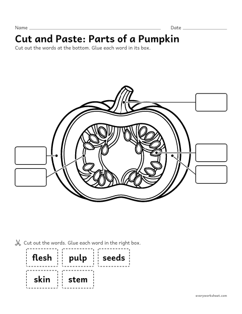 Preview of the printable “Parts of a pumpkin cut and paste” worksheet: matching the words stem, skin, flesh, pulp and seeds to the parts