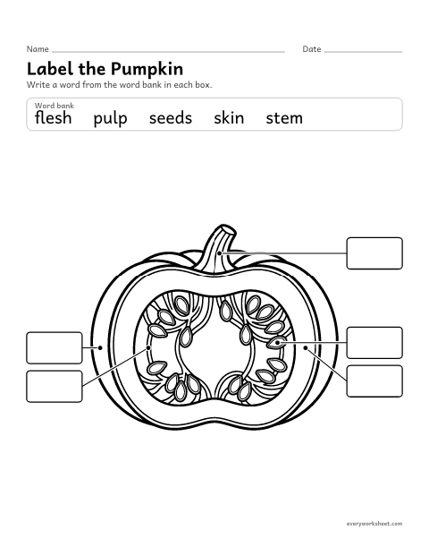 Preview of the printable “Label the parts of a pumpkin” worksheet: labeling the stem, skin, flesh, pulp and seeds