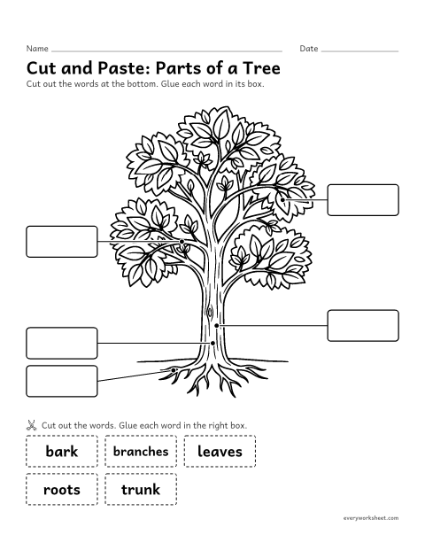 Preview of the printable “Parts of a tree cut and paste” worksheet: matching the words leaves, branches, trunk, bark and roots to the parts
