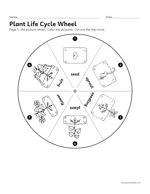 Preview of the printable “Plant life cycle wheel” worksheet: making a turning wheel that shows the plant life cycle