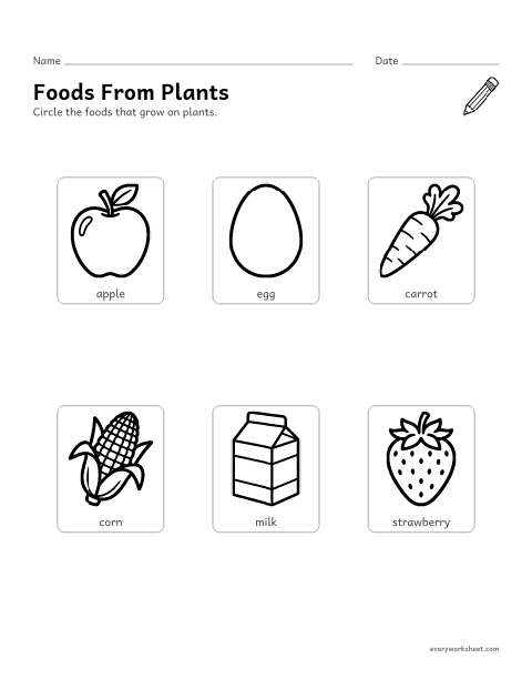 Preview of the printable “Foods from plants worksheet for preschool” worksheet: telling foods that come from plants from foods that come from animals