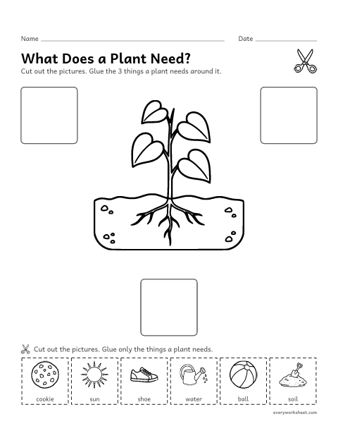 Preview of the printable “What plants need cut and paste for preschool” worksheet: naming what plants need: sunlight, water and soil