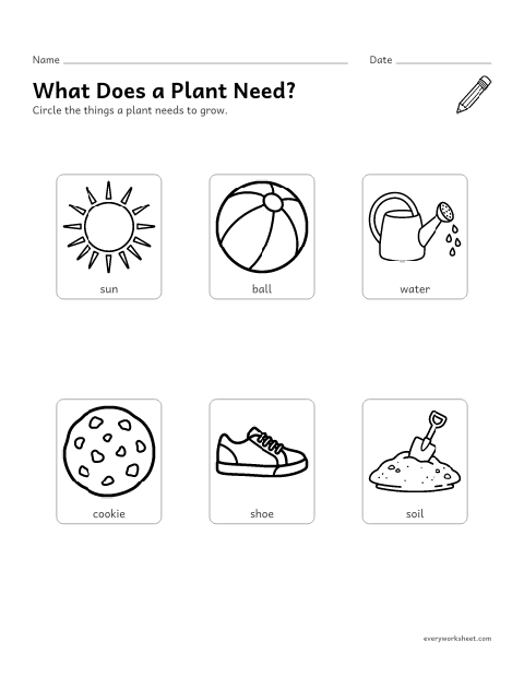 Preview of the printable “What plants need worksheet for preschool” worksheet: naming what plants need: sunlight, water and soil