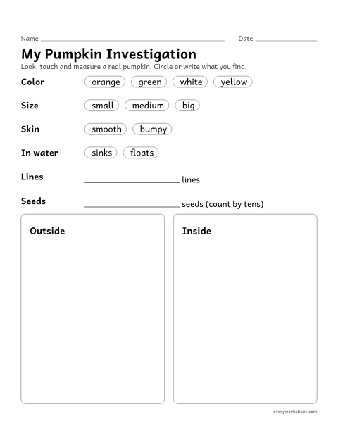 Preview of the printable “Pumpkin investigation page” worksheet: observing and describing a real pumpkin's size, color and other attributes