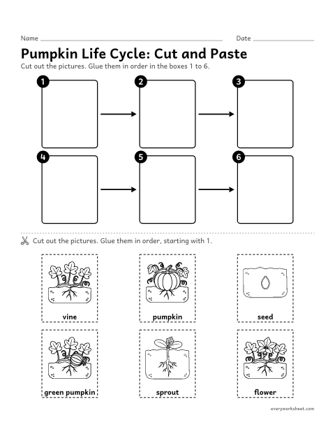 Preview of the printable “Pumpkin life cycle cut and paste” worksheet: putting the pumpkin life-cycle pictures in order