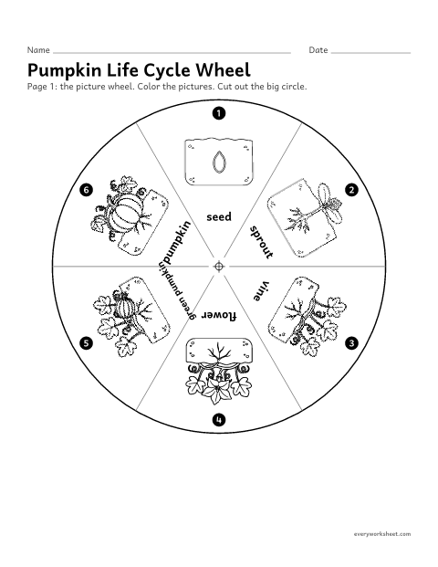 Preview of the printable “Pumpkin life cycle wheel” worksheet: making a turning wheel that shows the pumpkin life cycle
