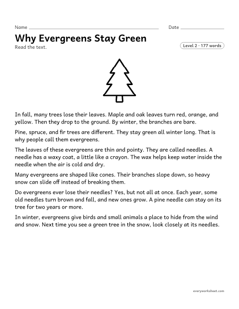 Preview of the printable “Why evergreens stay Green: nonfiction reading passage” worksheet: finding the main topic and key details of a nonfiction text