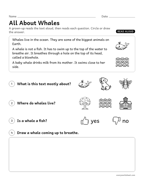 Preview of the printable “All about whales” worksheet: listening to an informational text and naming the main topic and key details