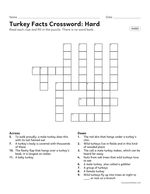 Preview of the printable “Turkey facts Crossword: hard” worksheet: solving Thanksgiving vocabulary clues (snood, wattle, feathers) with no word bank