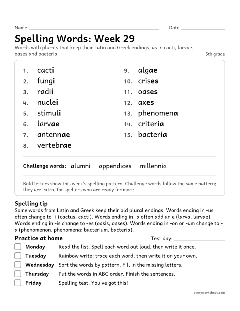 Preview of the printable “Spelling Packet: week 29 (Plurals from latin and Greek)” worksheet: a full week of spelling practice: plurals that keep their Latin and Greek endings, as in cacti, larvae, oases and bacteria