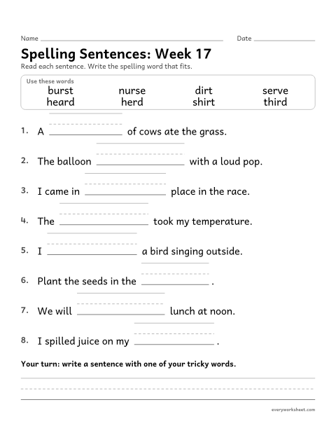 Preview of the printable “Spelling Sentences: week 17 (er, ir and ur)” worksheet: writing spelling words in sentences