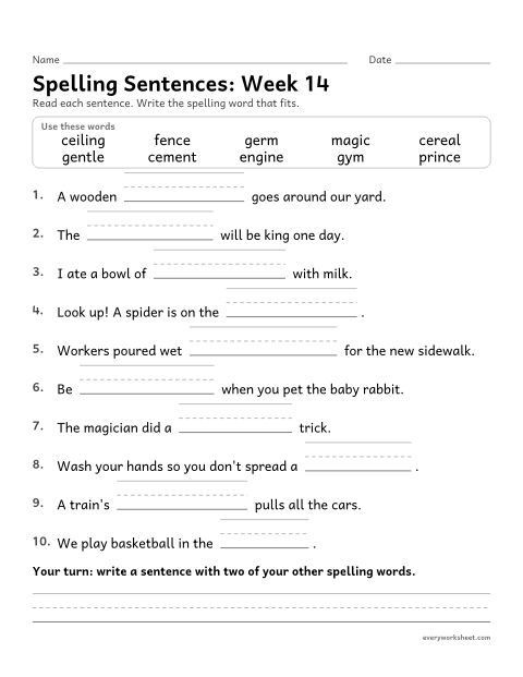 Preview of the printable “Spelling Sentences: week 14 (Soft c and soft g)” worksheet: writing spelling words in sentences