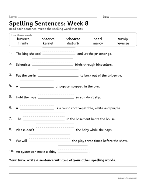 Preview of the printable “Spelling Sentences: week 8 (er, ir, ur and ear)” worksheet: writing spelling words in sentences