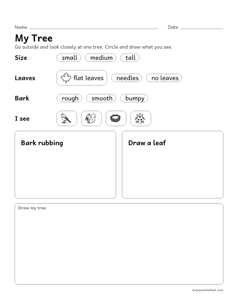 Preview of the printable “My tree observation page” worksheet: observing a real tree and recording what you see