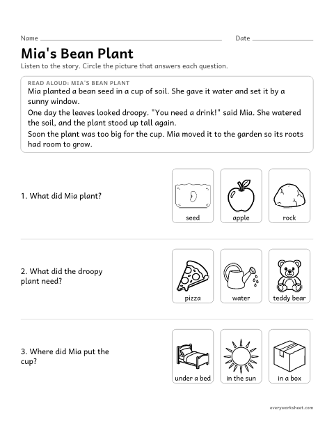 Preview of the printable “What plants Need: read and answer” worksheet: listening to a passage about what plants need and answering questions